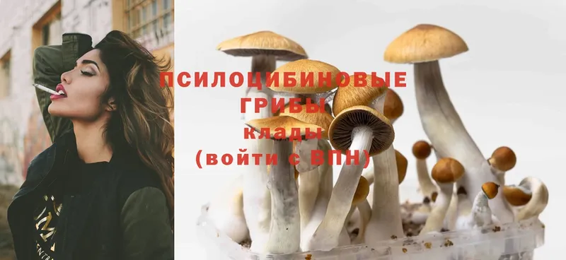 Галлюциногенные грибы Cubensis  Бахчисарай 